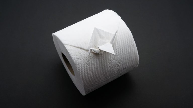 Toilet Paper Crane