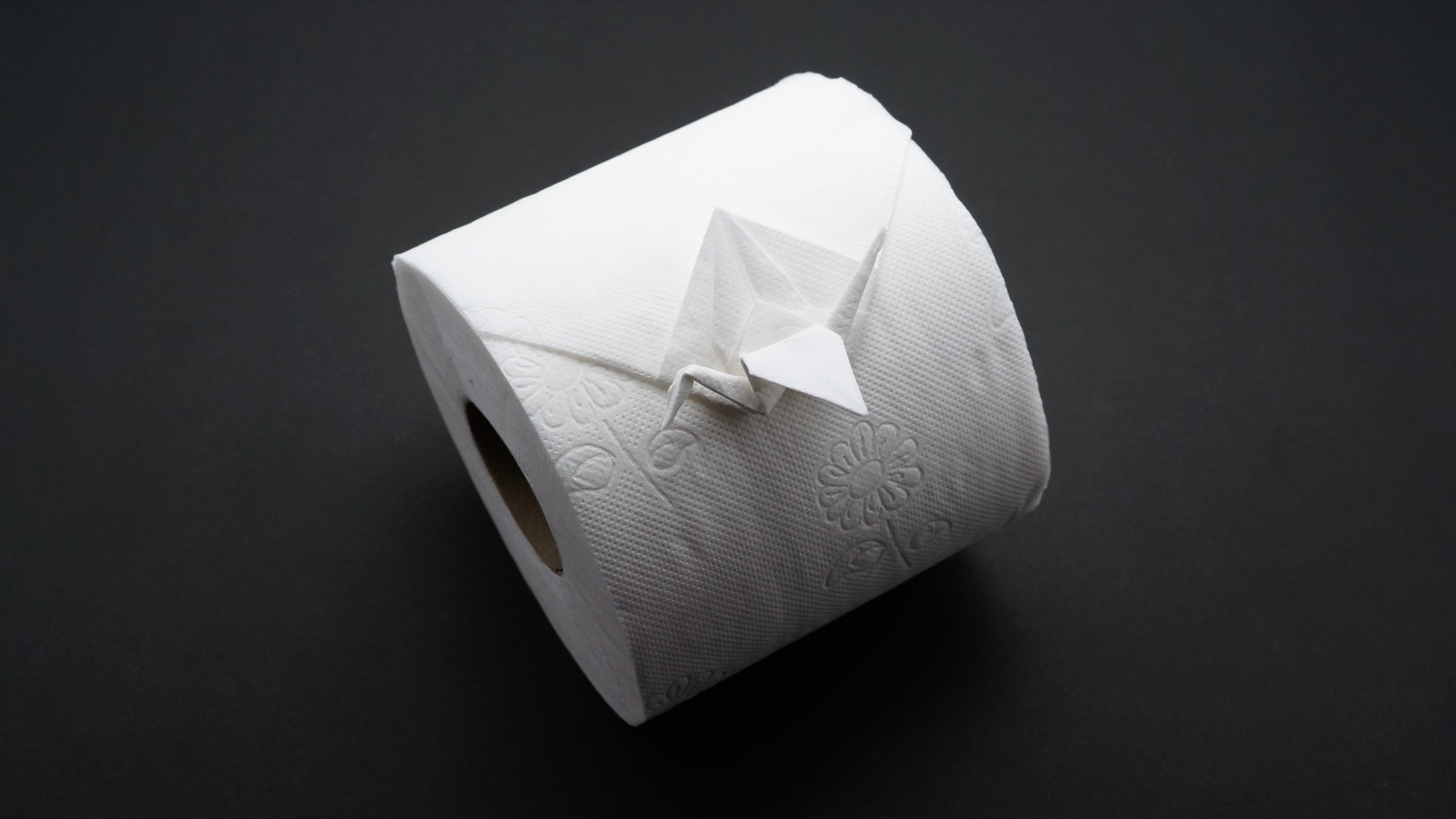 Toilet Paper Crane by Jo Nakashima