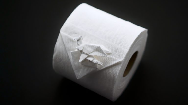 Toilet Paper Dragon