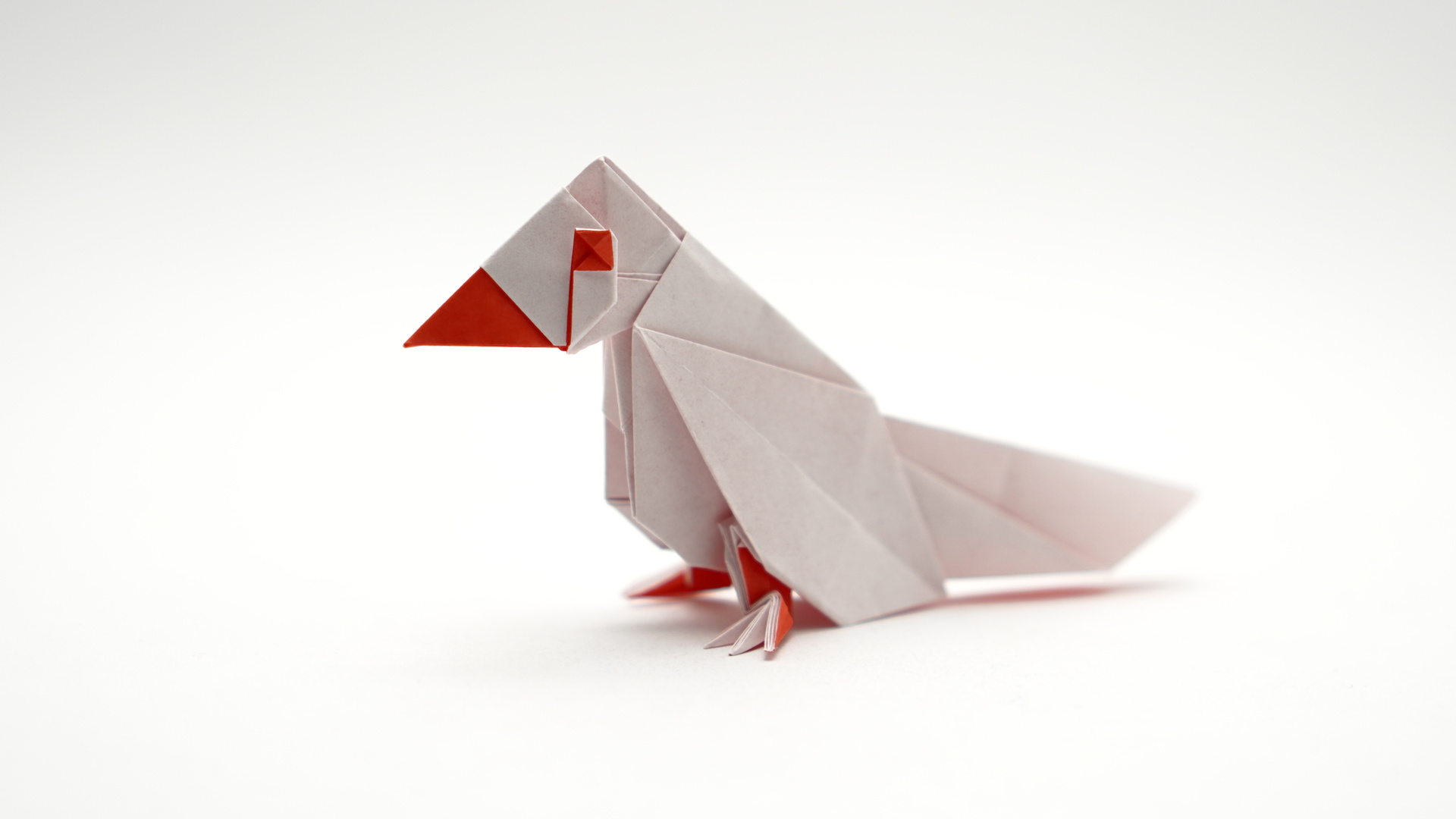 Origami Java Sparrow