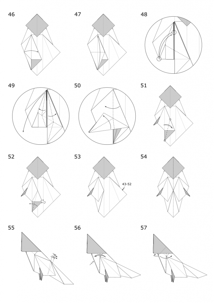 Origami Cockatiel - Jo Nakashima