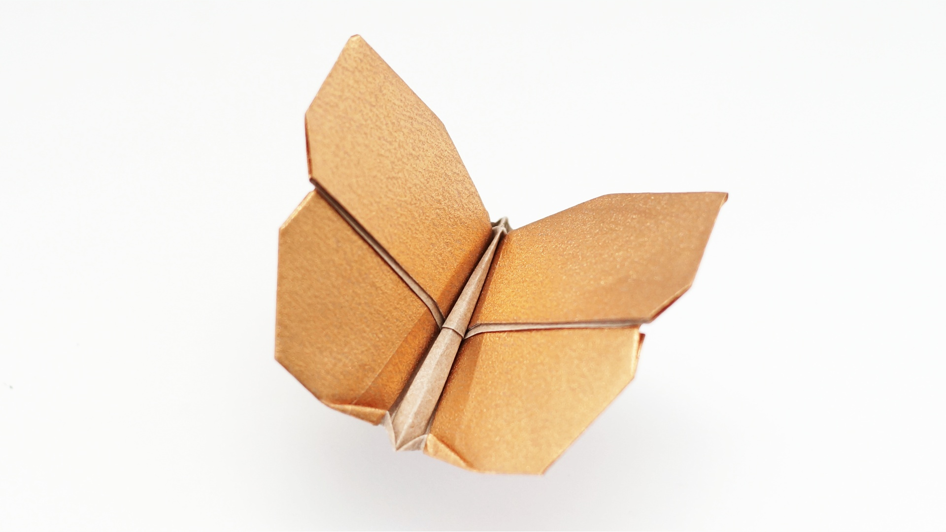 Origami Butterfly by Jo Nakashima