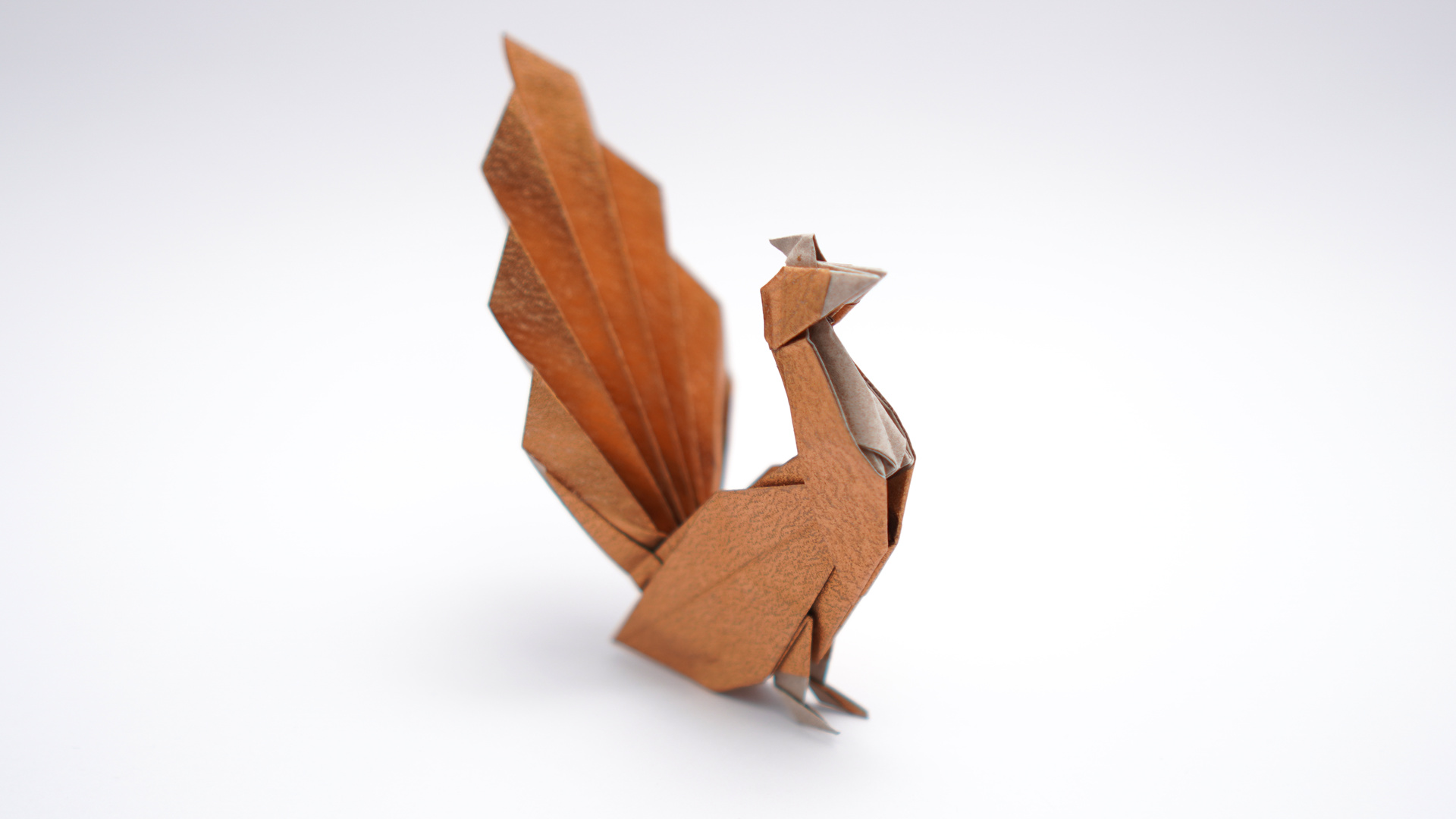 Origami Peacock v2 by Jo Nakashima