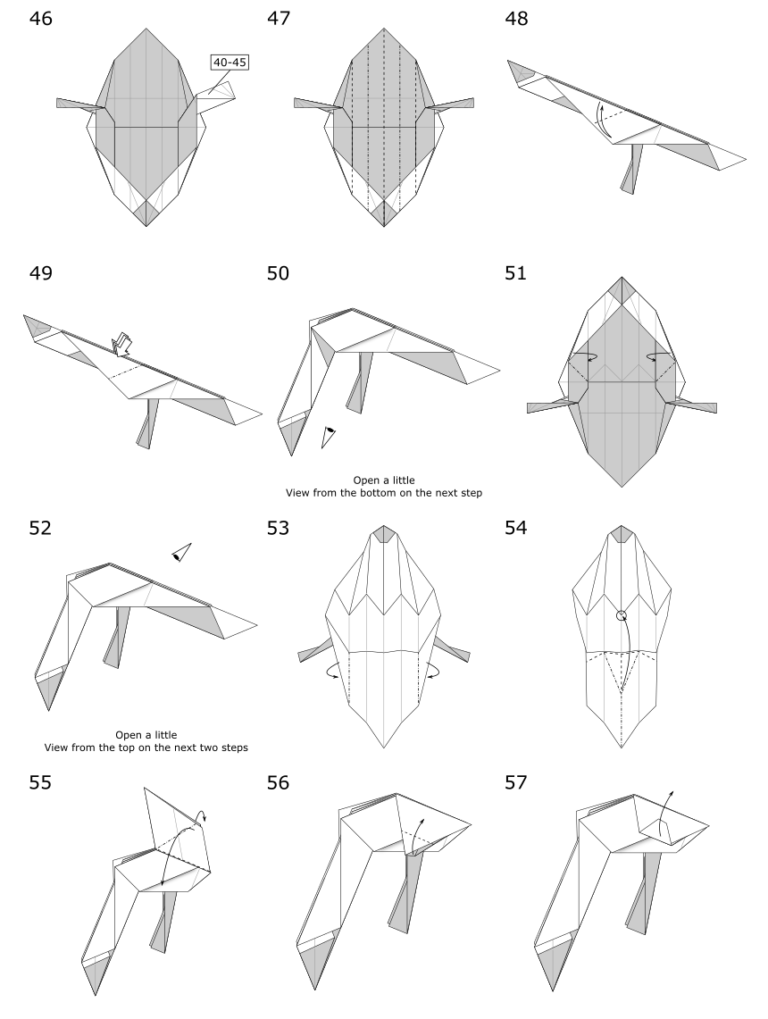 Origami Goose - Jo Nakashima