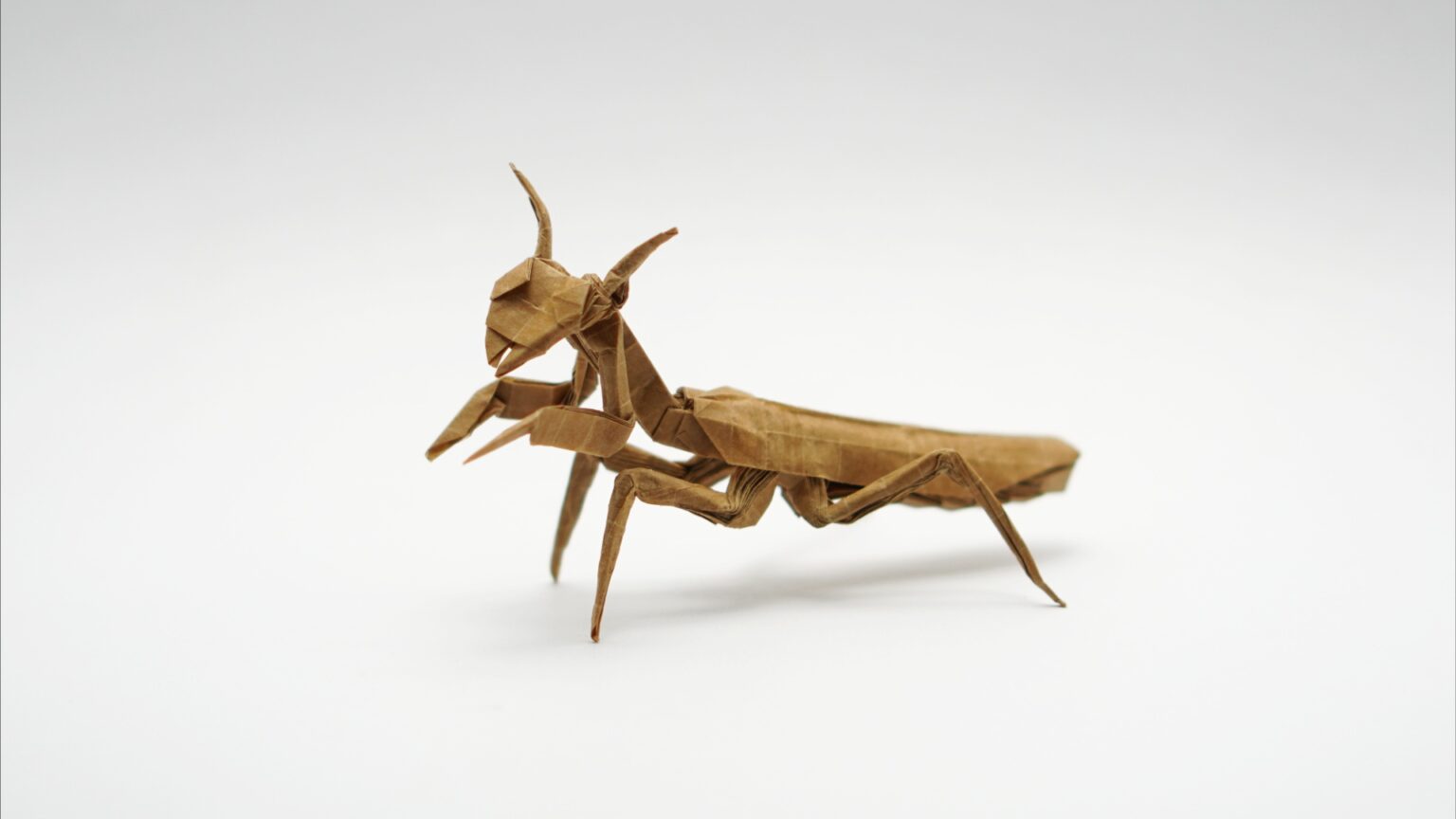 Origami Praying Mantis - Jo Nakashima