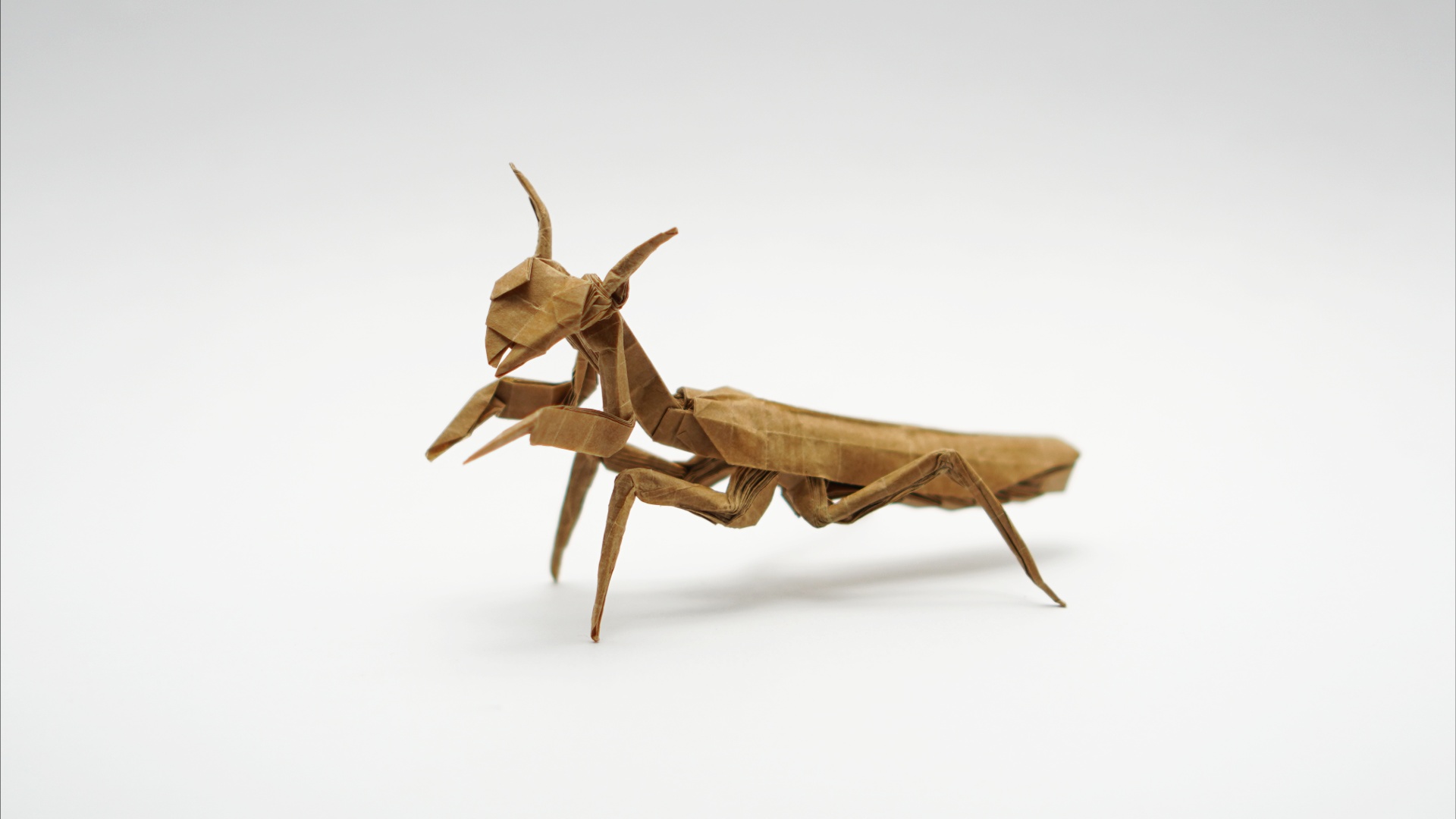 Origami Praying Mantis by Jo Nakashima