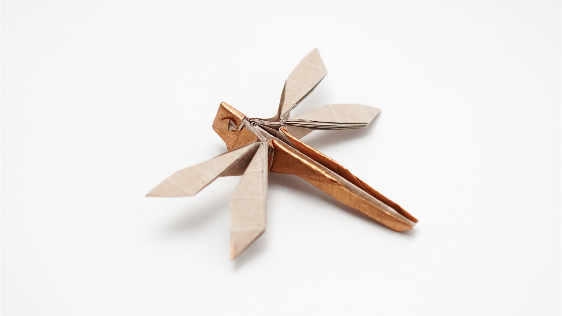 Origami Dragonfly by Jo Nakashima