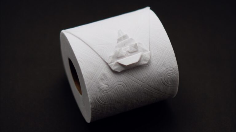 Toilet Paper Poop