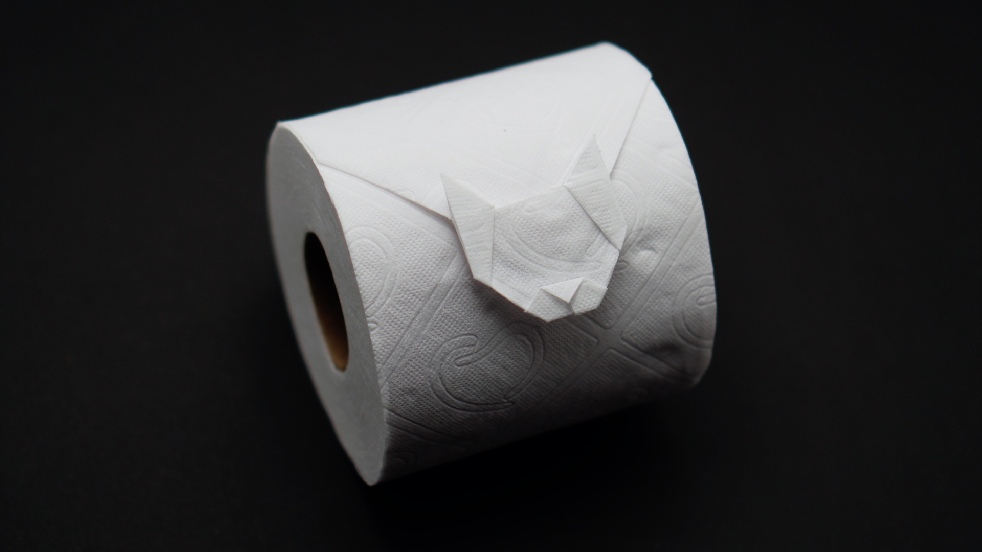 Toilet paper cat by Jo Nakashima