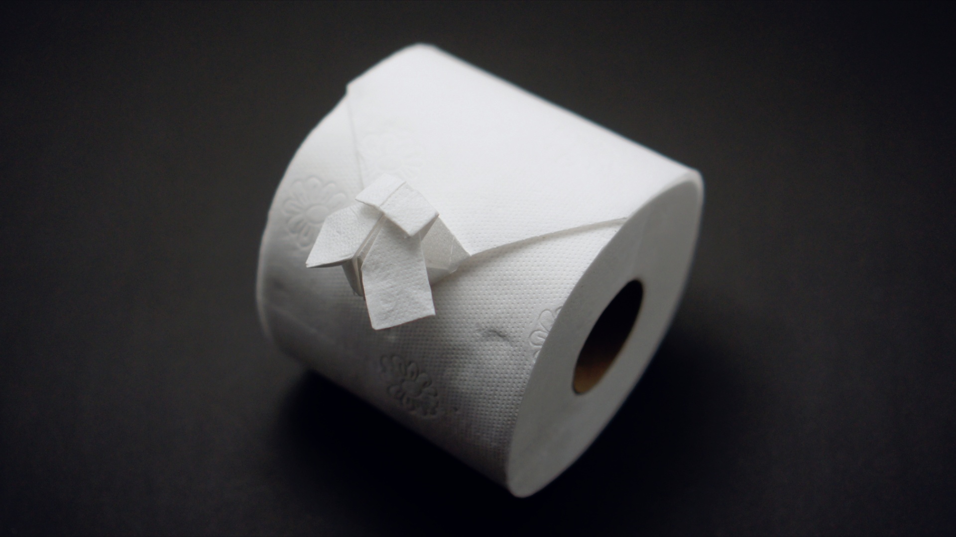 Origami Toilet Paper Fly